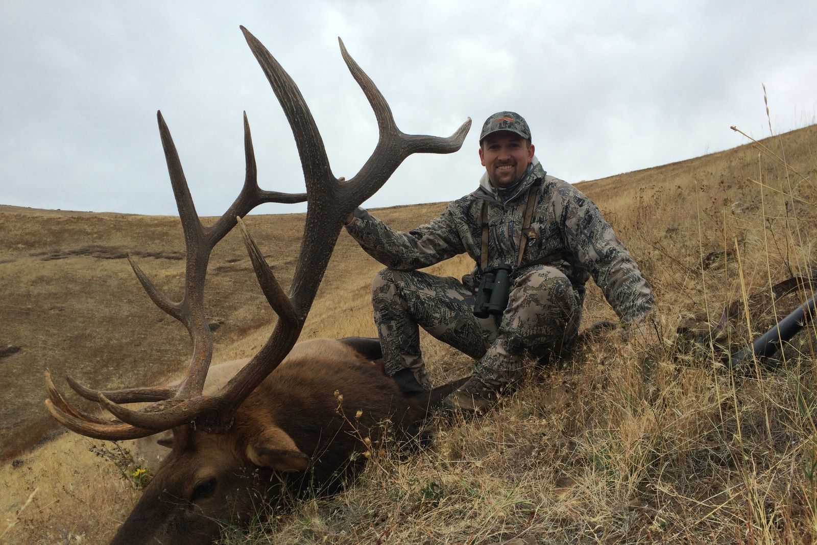Hunter with a large bull elk on a grassy slope
