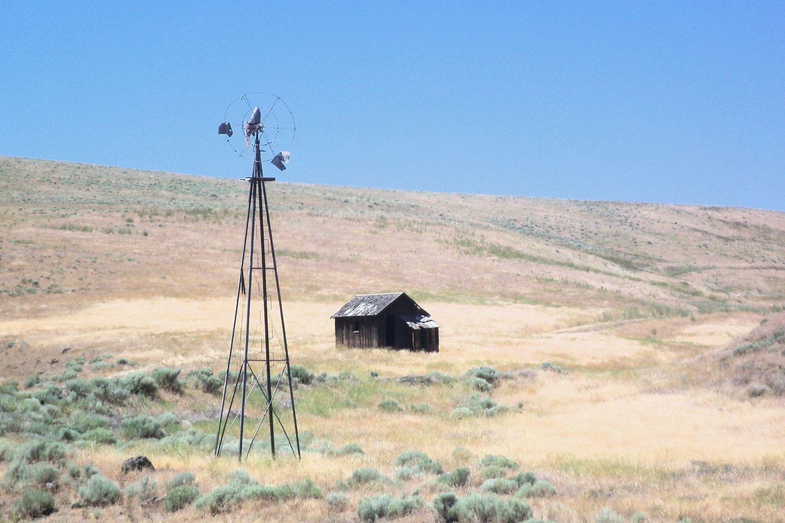 Old windmill and homestead cabin in the sagebrush