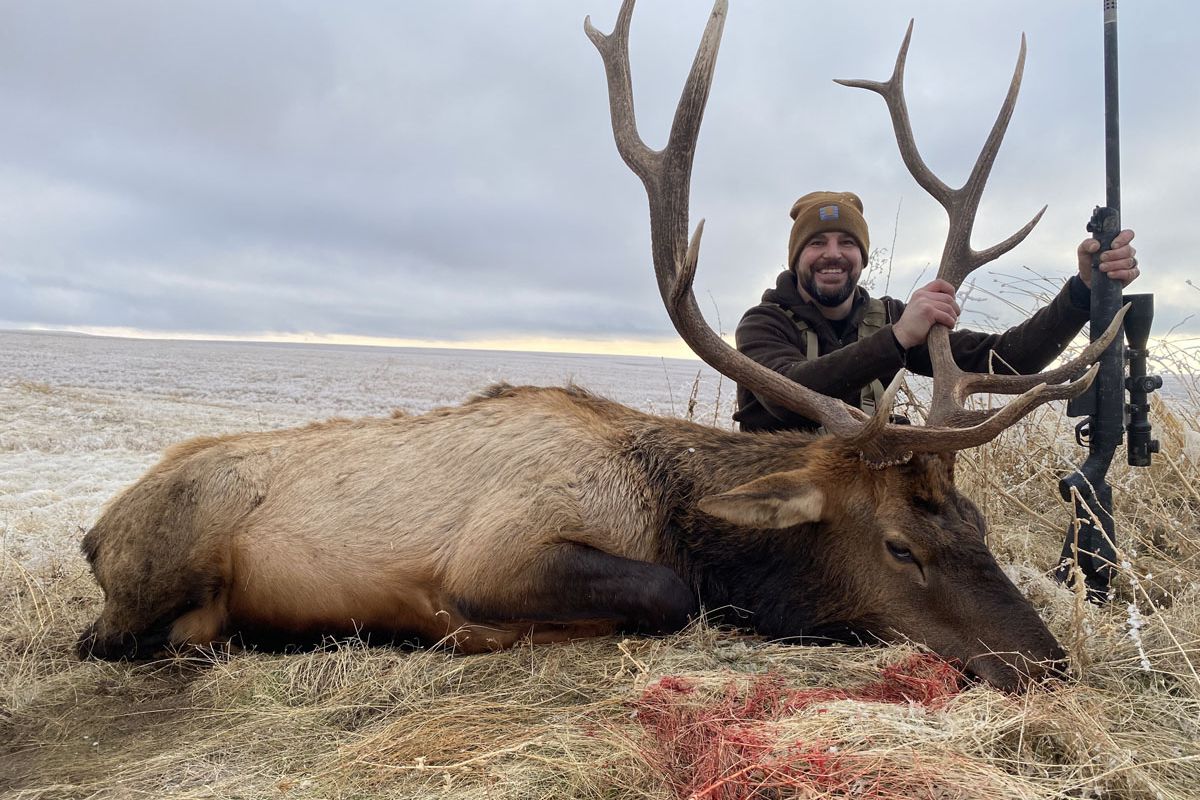 Hunter with a large bull elk on frosty grass