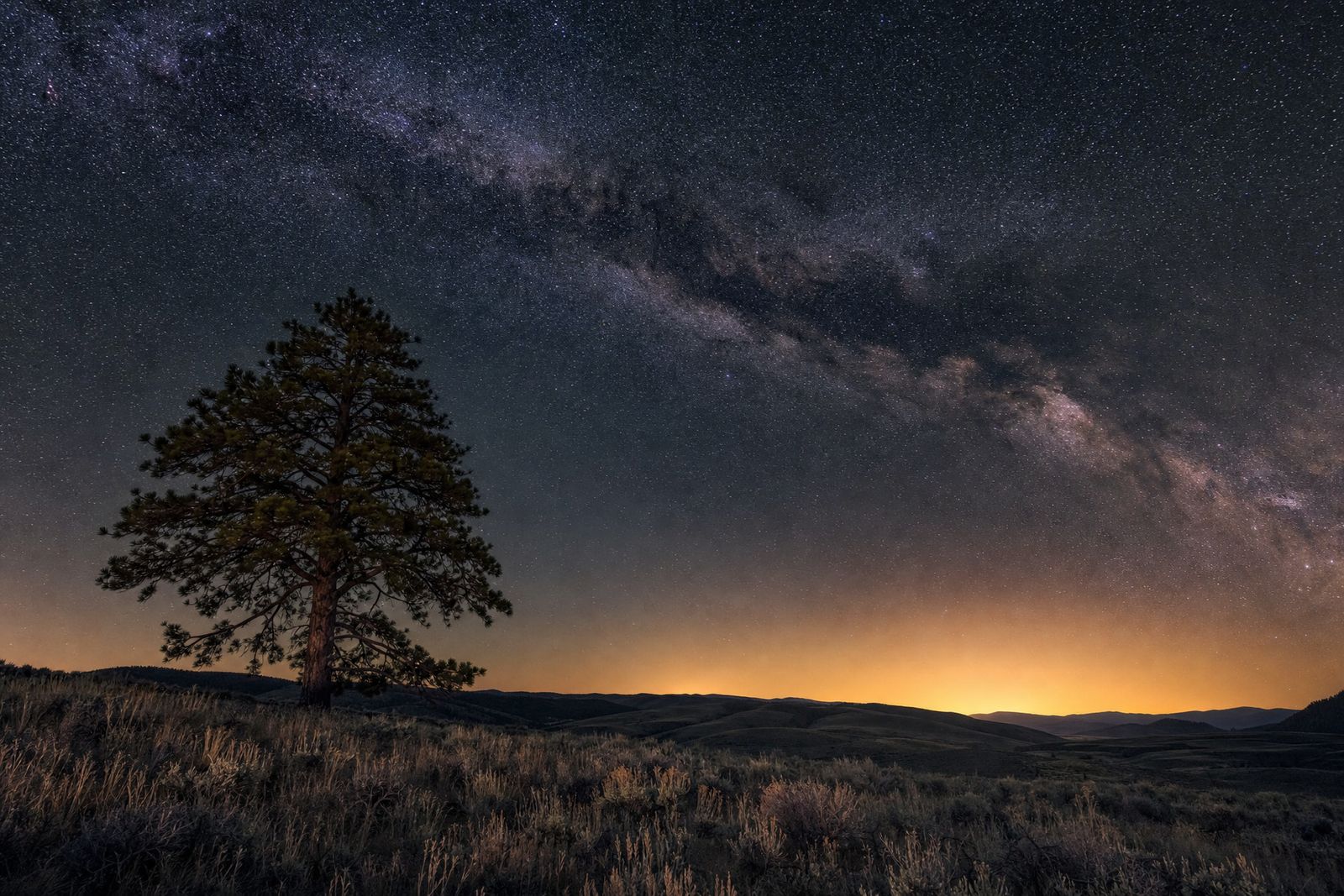 Milky Way over a lone pine and dark hills